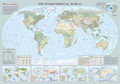 Environmental World Wall Map - Large Size